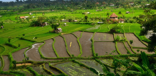 bali - candi dasa_landska_01