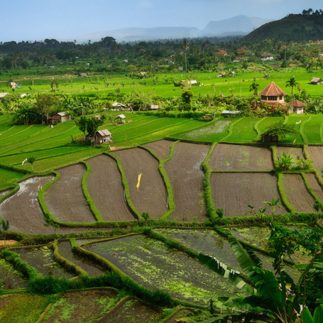 bali - candi dasa_landska_01