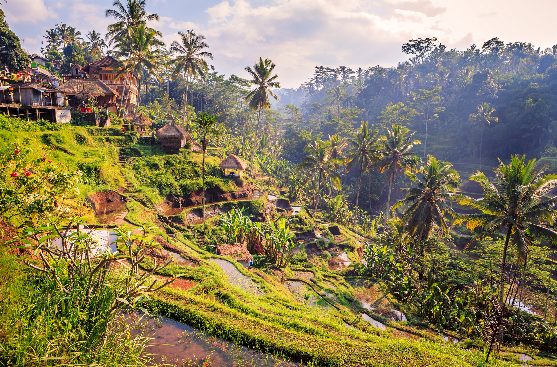 bali - bali_ubud_landsby_01