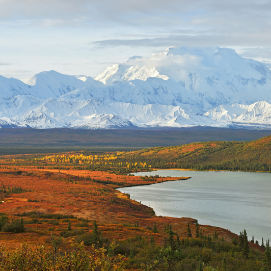 Der venter herefter storslået natur i Denali National Park.