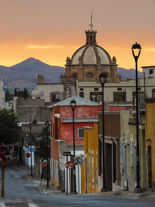 Chihuahua By Aften GI 675478354