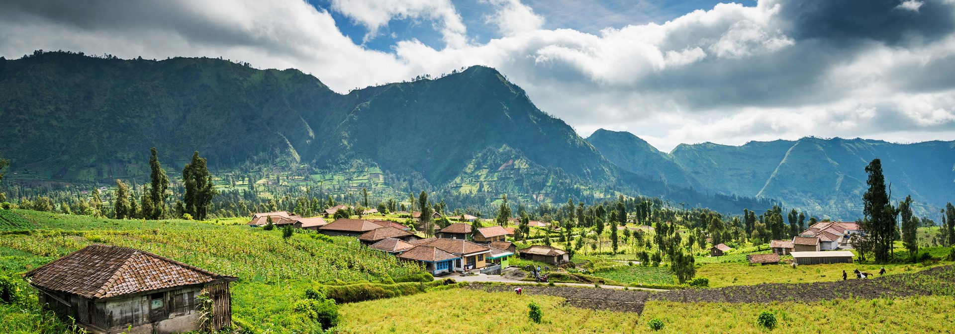 indonesien - java_bromo national park_10