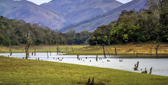Ved Periyar Lake kan vi være heldige at spotte elefanter