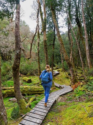 Oppe nordpå venter Cradle Mountain med flotte stier.
