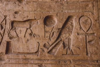 Egypt Abydos Temple Seti I Ancient Egyptian Drawings