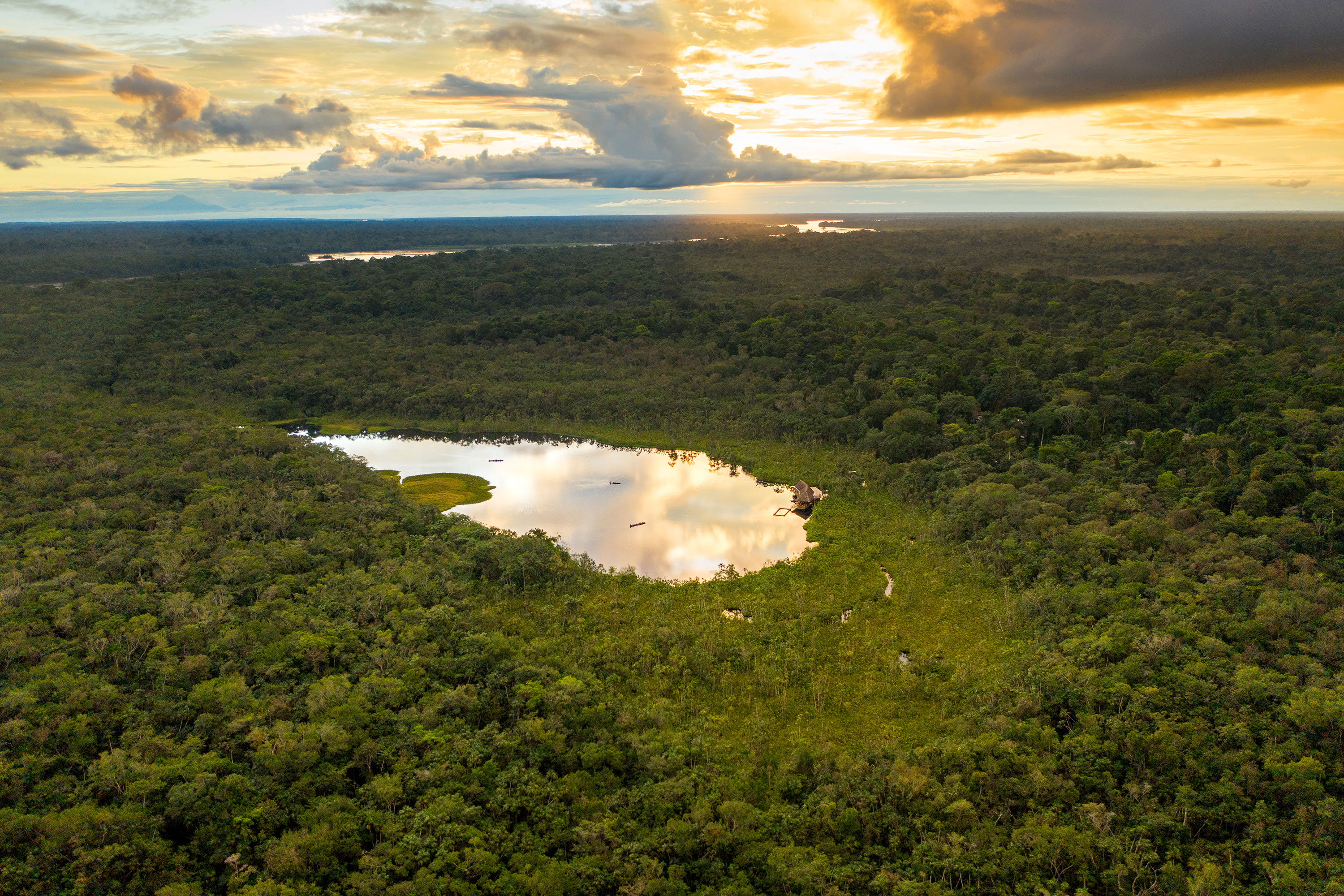 Sacha Lodge Aerial Area