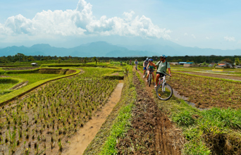 I tager på cykeltur i Ubuds grønne opland