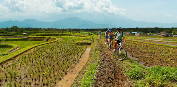 bali - Ubud_cykeltur_07_blaa himmel