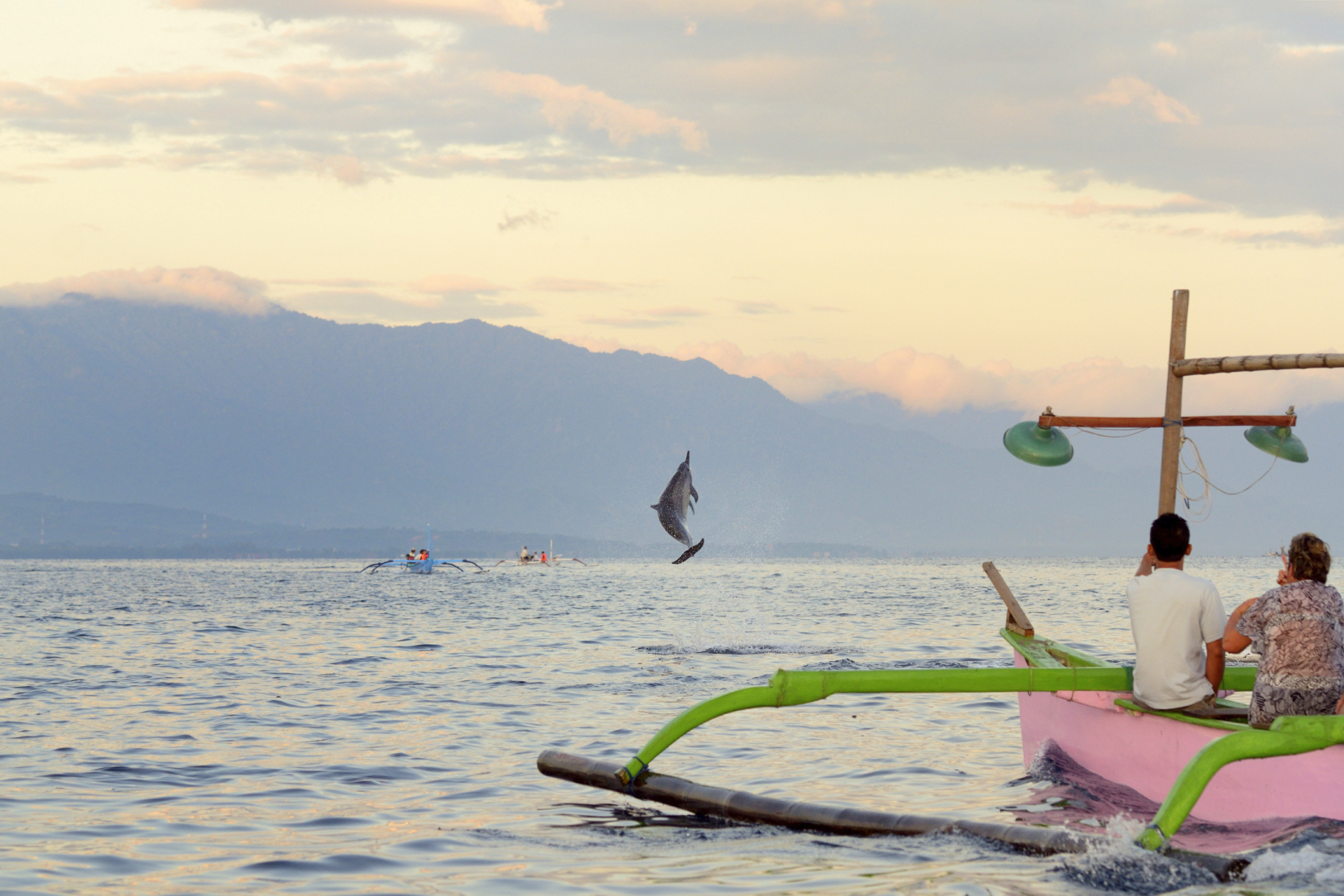 bali - lovina_delfin_02