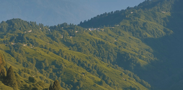 Darjeeling3