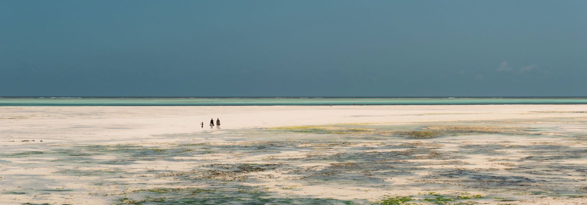 Zanzibar Tidevand