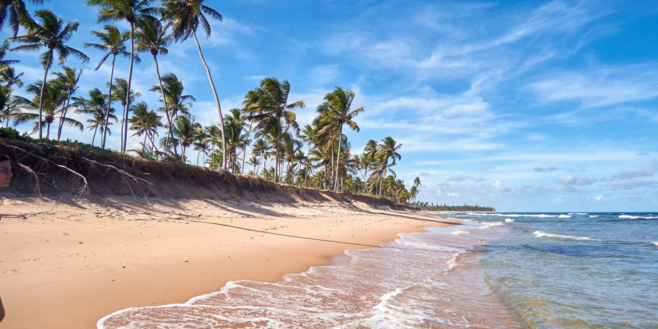 Praia Do Forte3