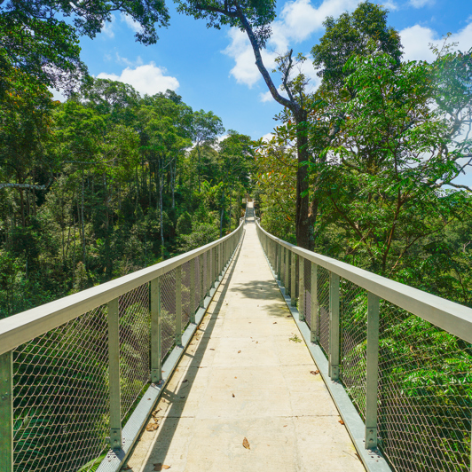 malaysia - penang_habitat_01