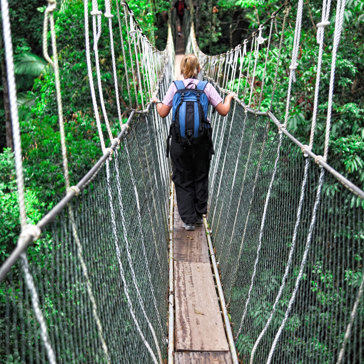 Canopy Bridge In Taman Negara