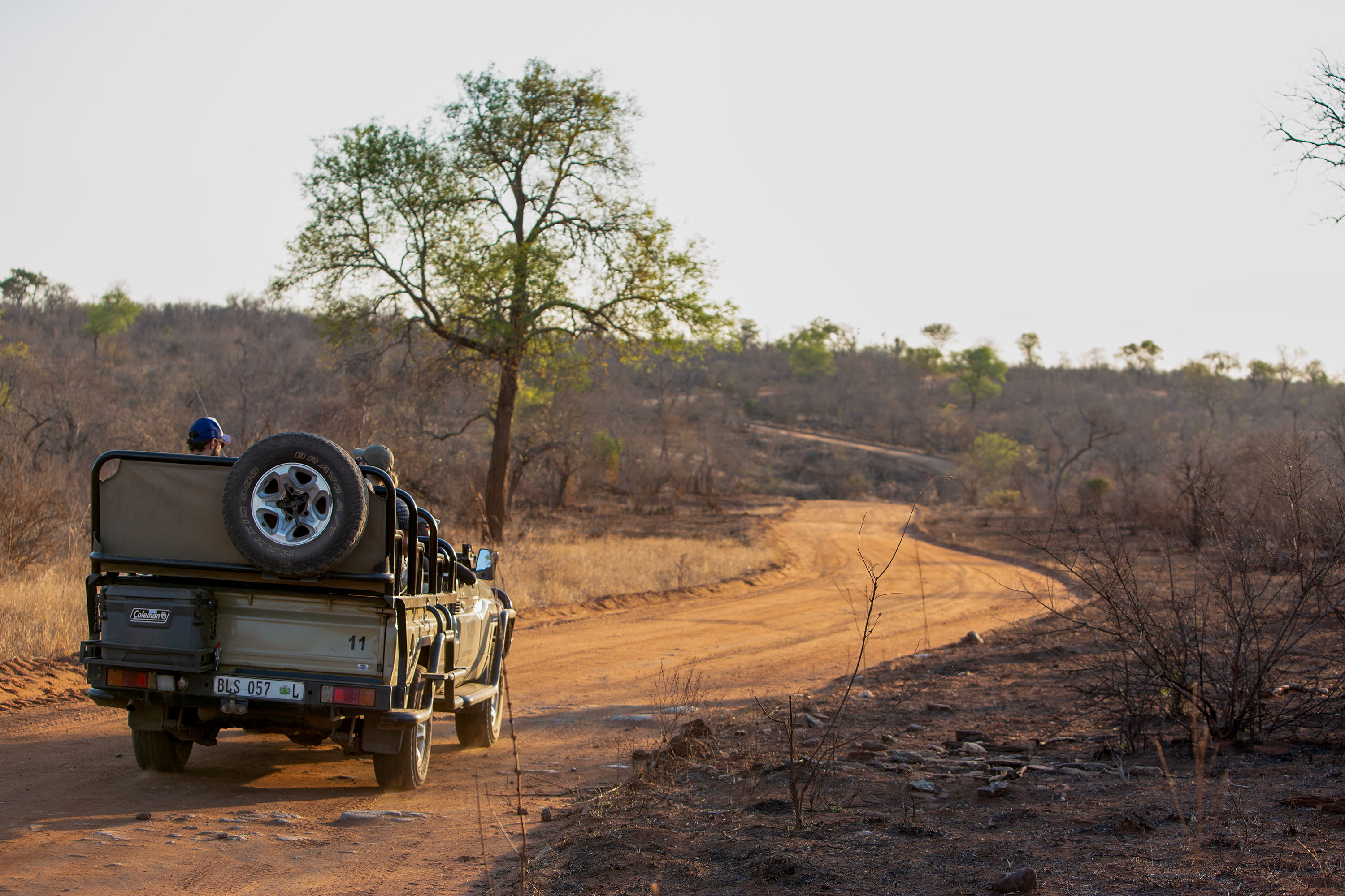 Sydafrika 2025 Mikkel 0603 Nyati jeep
