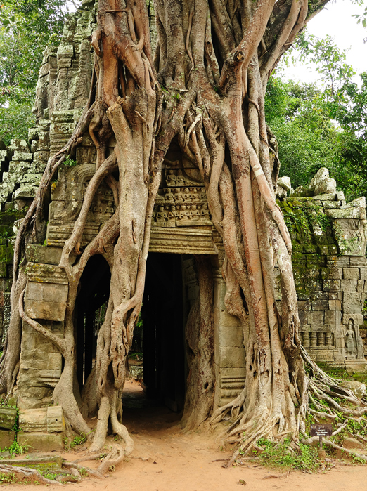 cambodia - siem reap_ta prohm tempel_01_hf
