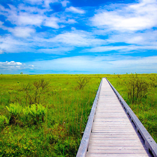 Hokkaido Kushiro Shitsugen Nationalpark