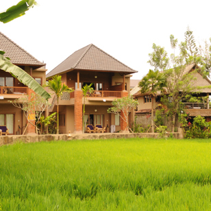 Tegal Sari