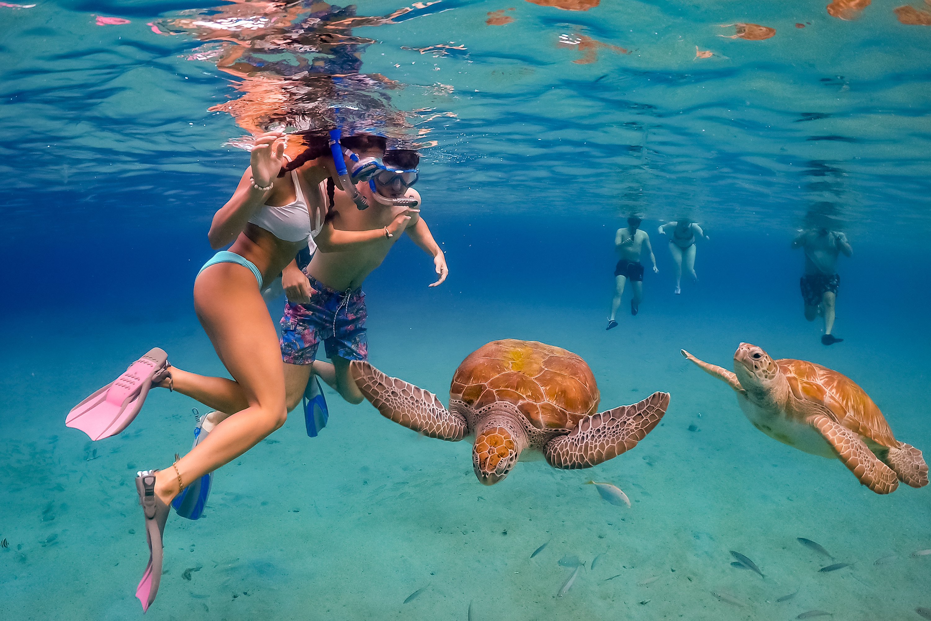 Curacao_snorkling_01