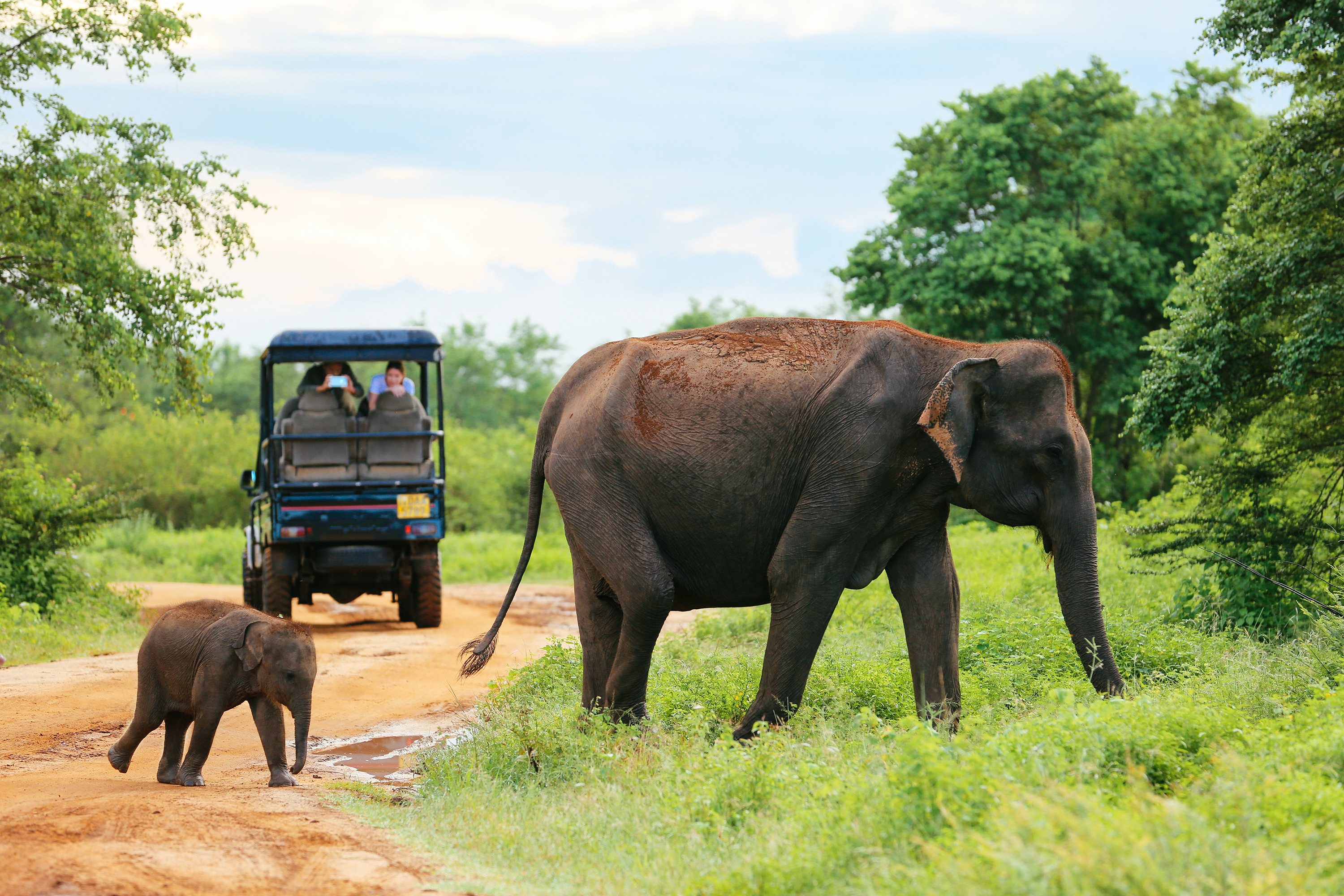 sri lanka - udawalawe_nationalpark_01
