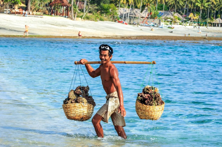 bali - lombok_befolkning_mand_02