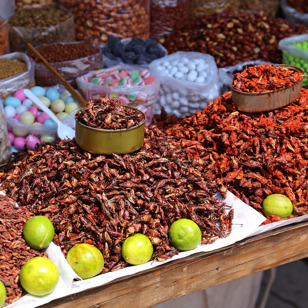 På markedet i Oaxaca er udvalget i stegte insekter overvældende