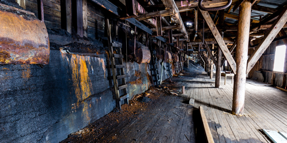 Longyear Grove3 AS 256294566