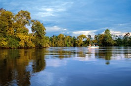 malaysia/borneo - borneo_flod_baad_01