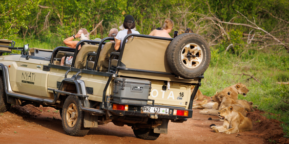 Nyati Safari Lodge 07
