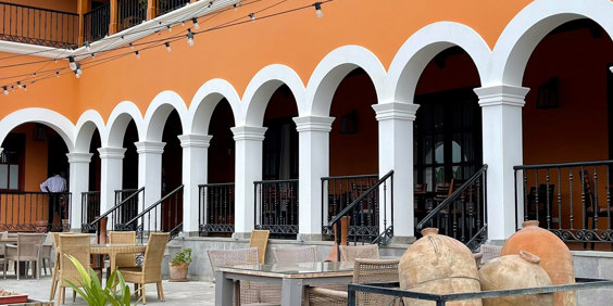 Pisco Vingård Vertical