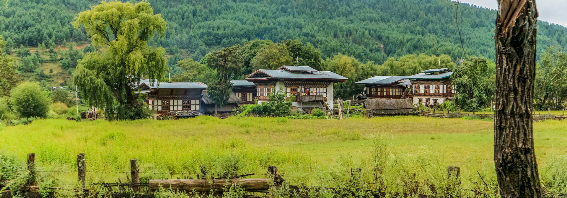 Bhutan Bumthang Region Gi 695787012