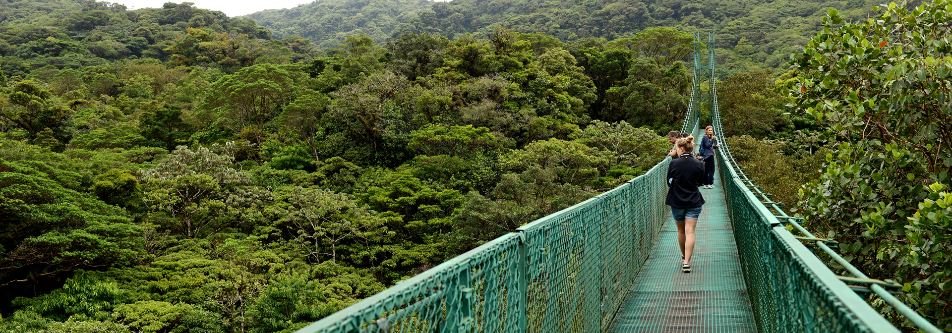 costa rica - monteverde_jungle_haengende_bro_03