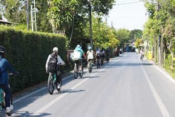 Bangkok Cykel Jungle Tur 03