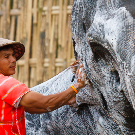 I Elephant Hills får elefanterne den bedste pleje