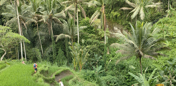 bali - Balis gamle stier_udflugt_05