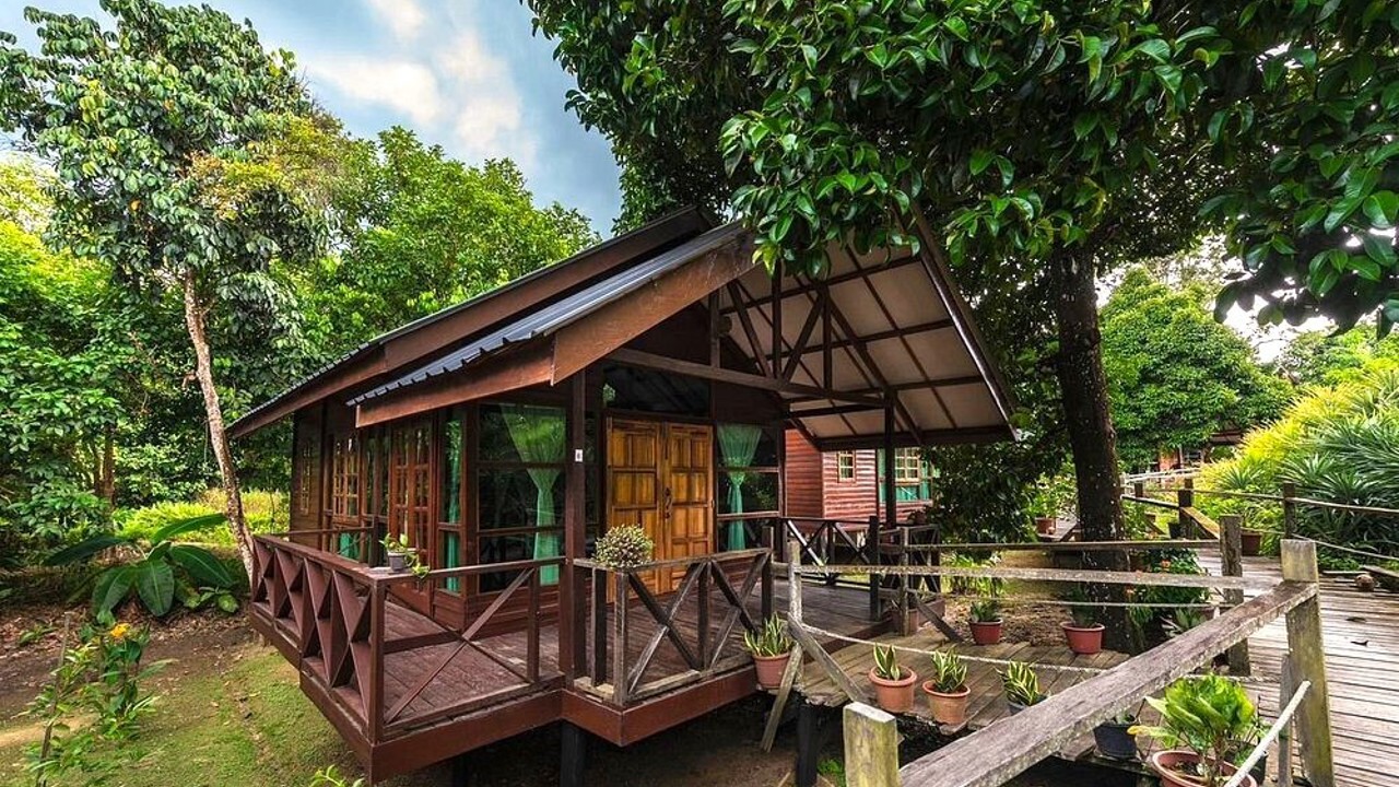 Borneo Sepilok Rainforest Resort Room 02