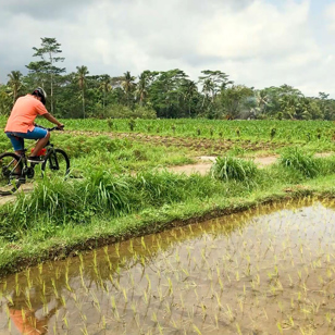 bali - Ubud_cykeltur_01