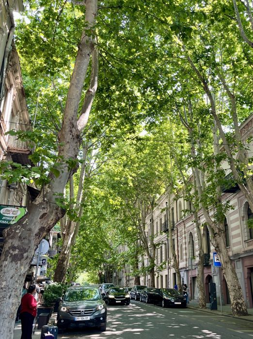 Georgien Tbilisi Stine