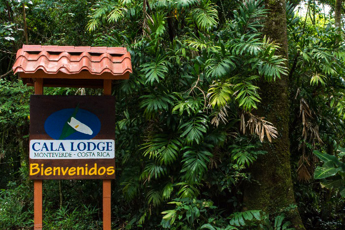 costa rica - monteverde - cala lodge hotel_01