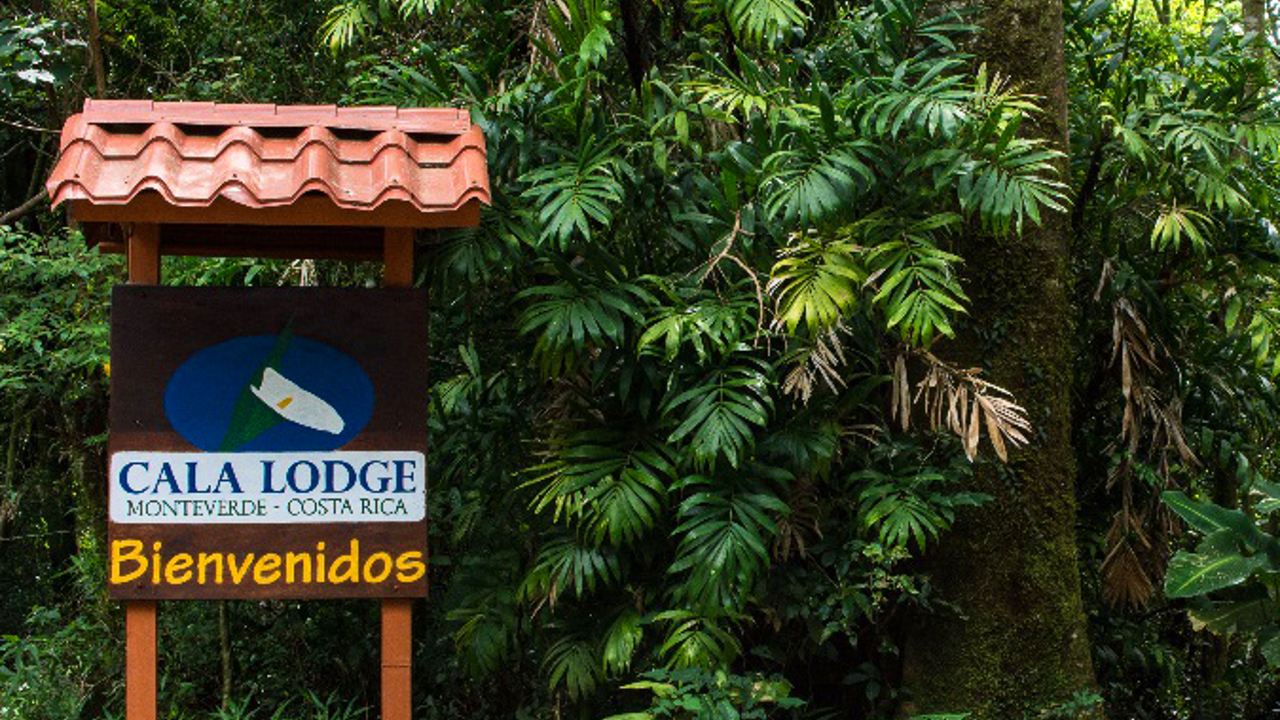 costa rica - monteverde - cala lodge hotel_01