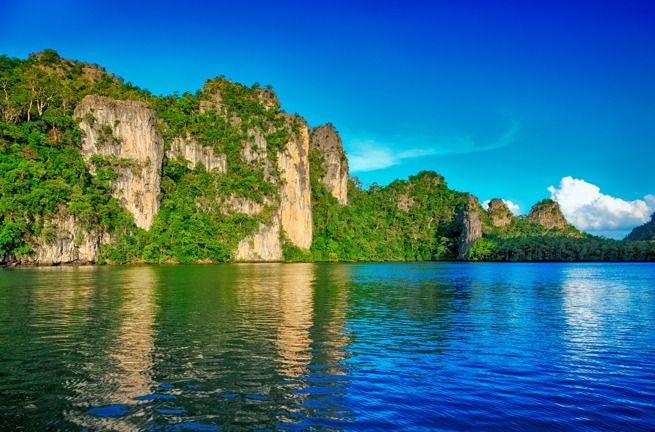 malaysia - Langkawi_mangrove_trae_01
