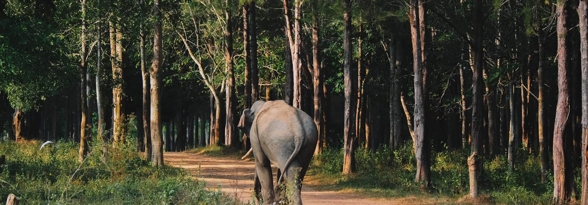 Kui Buri National Park Hua Hin3