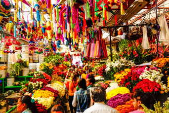 mexico - Mexico_Flower market_01