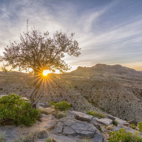 Oman Solnedgang