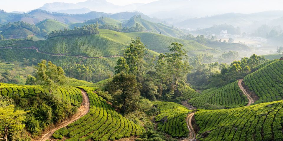 Munnar Temarker 2578455711