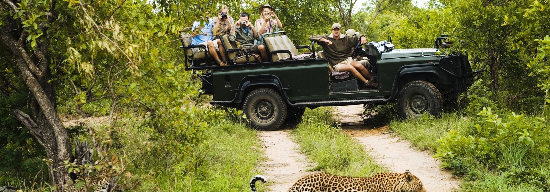 sydafrika - private game reserve_safari_leopard_01