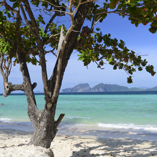Sevenseas Resort på Koh Kradan