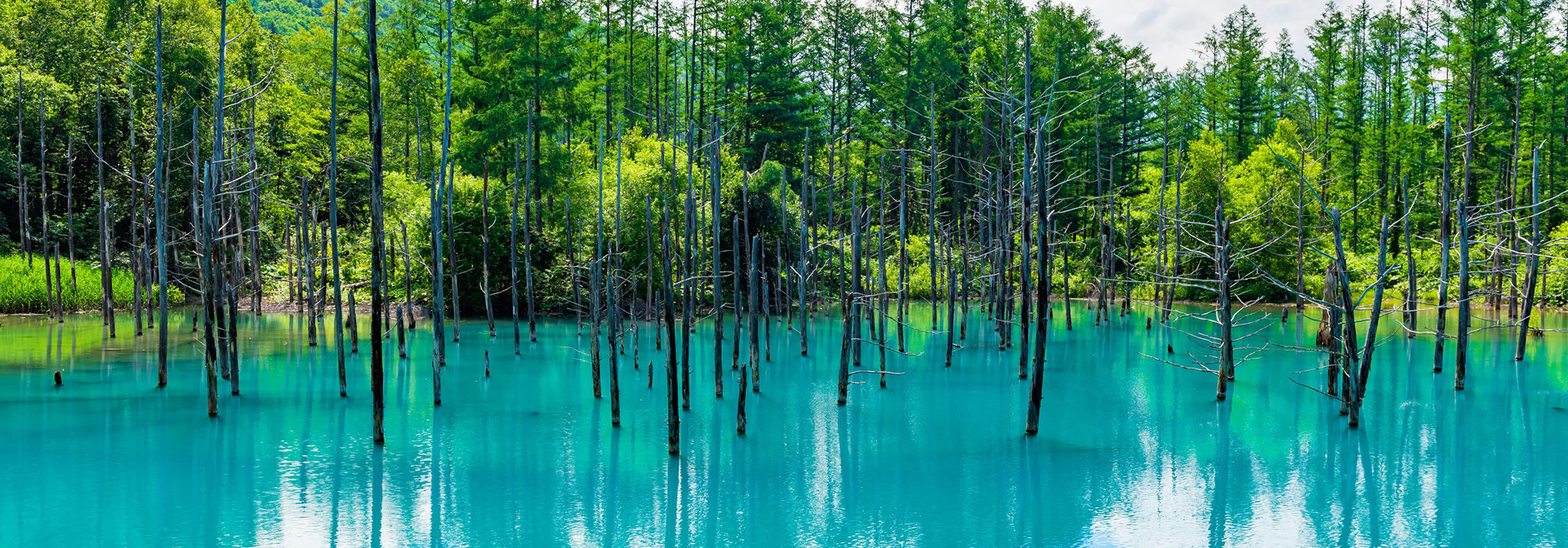 Hokkaido Furano Biei Shirogane Aoi Ike Blue Pond