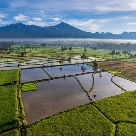 Lombok Tetebatu Rismarker Mt.Rinjani 2188340651