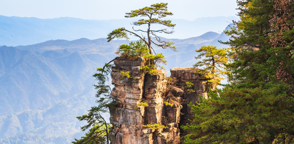 Sandstenssøjlerne i Avatar bjergene (Zhangjiajie National Forest Park)